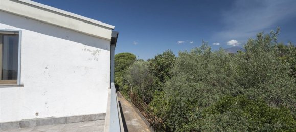 4-Zimmer Wohnung in Valverde, Italy, Nr. 293269 32