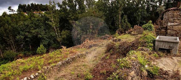 6 Schlafzimmer Haus in Marco de Canaveses, Portugal, Nr. 28995 19