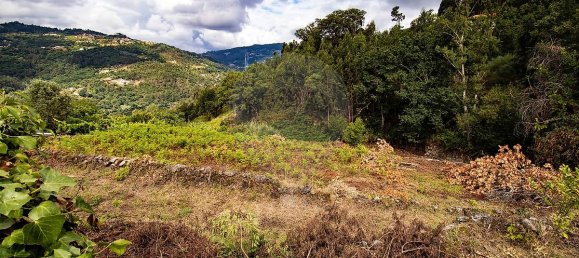 6 Schlafzimmer Haus in Marco de Canaveses, Portugal, Nr. 28995 20
