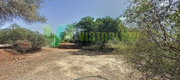 3 Schlafzimmer Haus in Silves, Portugal, Nr. 40726 16