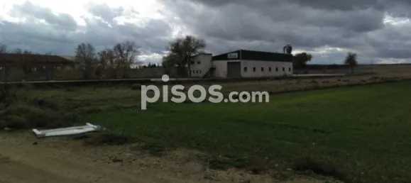  قطعة أرض في Toledo, Spain 5300متر مربع رقم 145405 4