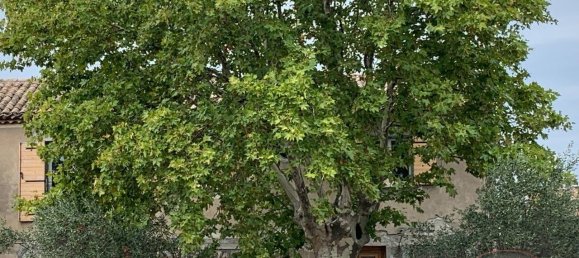 3 bedrooms House in Sorgues, France No. 355545 2