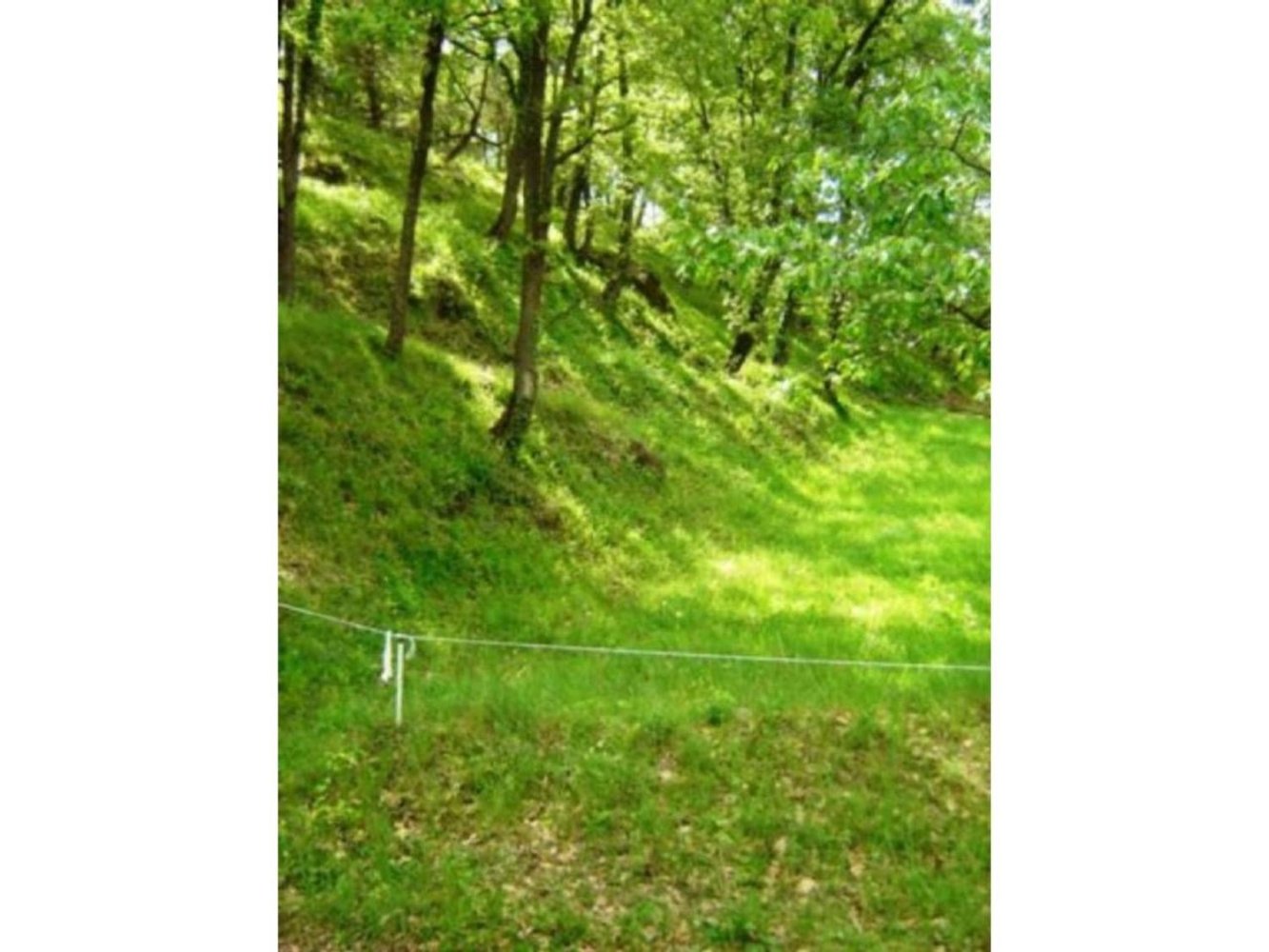 Terrain à Tona, Spain 500m² No. 77945