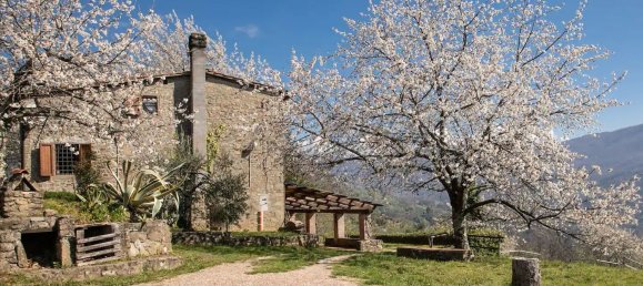Casa de 5 habitaciónes en Pescia, Italy No. 298963 4