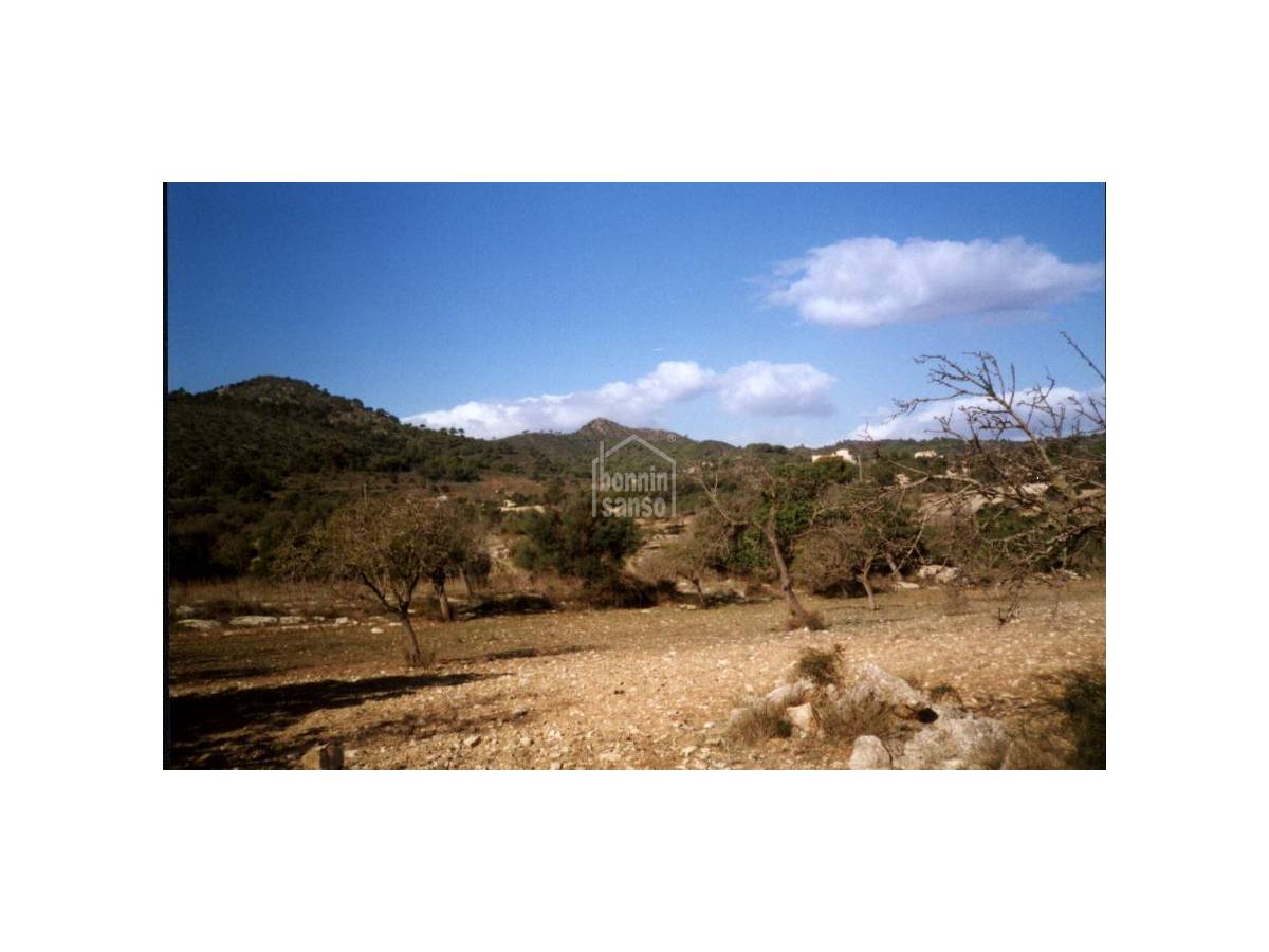  Land in Son Servera, Spain No. 3856