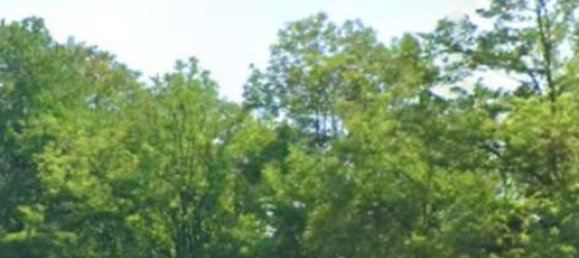 14 bedrooms House in San Martino di Lupari, Italy No. 348623 44