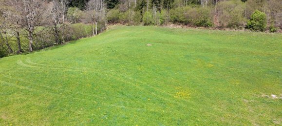  Land in Soll, Austria No. 162799 6