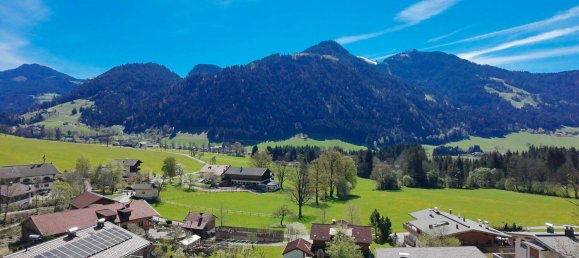 Land in Soll, Austria No. 162799 5