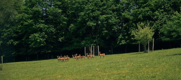 11-salle Châteaux à Bad Loipersdorf, Austria No. 126667 5