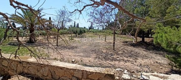 3 bedrooms House in San Vicente del Raspeig, Spain No. 164710 32