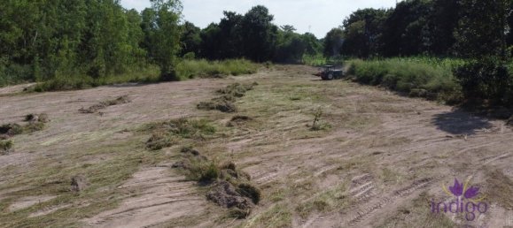 Land in San Sai, Thailand No. 25038 7