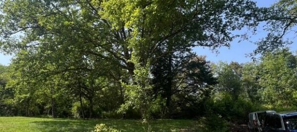 4 غرف نوم منزل في Occitanie, France رقم 295774 33