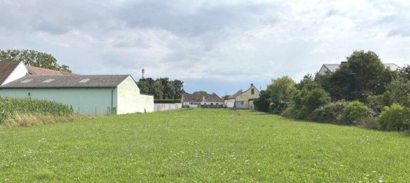 2110m² Land in Zwentendorf an der Donau, Austria No. 194970 6