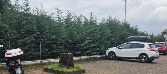 Lagerhaus in Castiglione Olona, Italy 105m², Nr. 94222 3