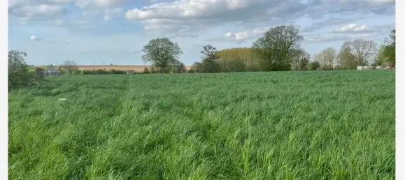 1750m² Land in Longueval, France No. 64329 7