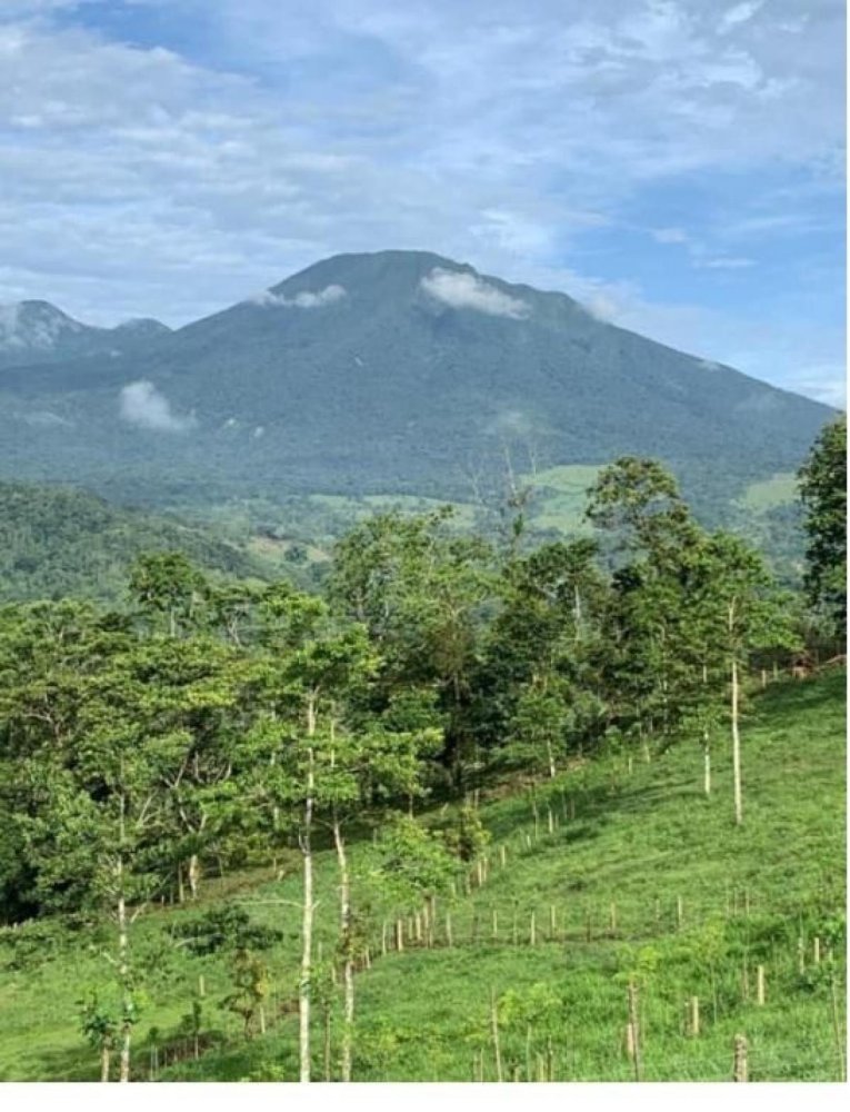 4 bedrooms House in Upala, Costa Rica No. 116