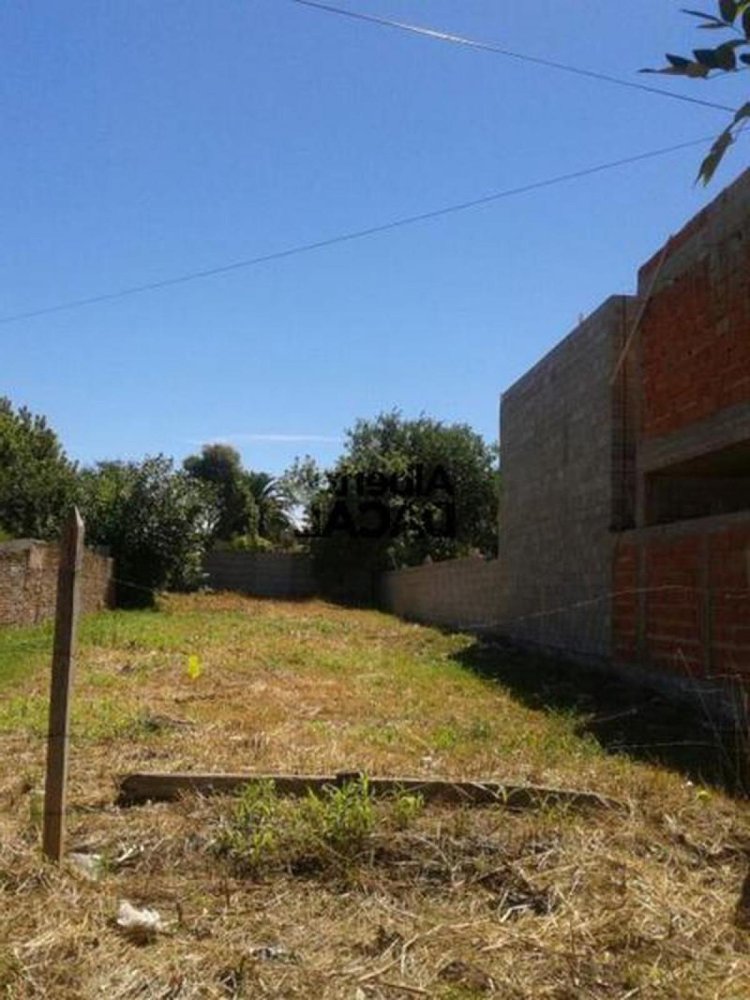  Land in Campo Creado, Argentina No. 43483