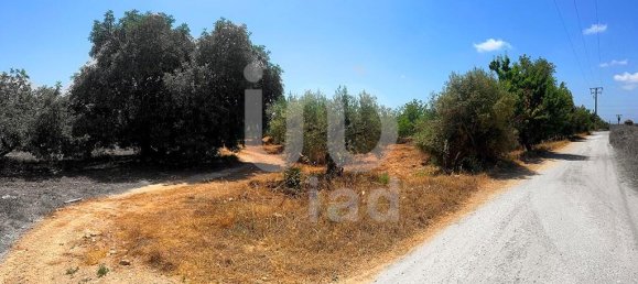 Grundstück in Tarragona, Spain 11201m², Nr. 158677 3