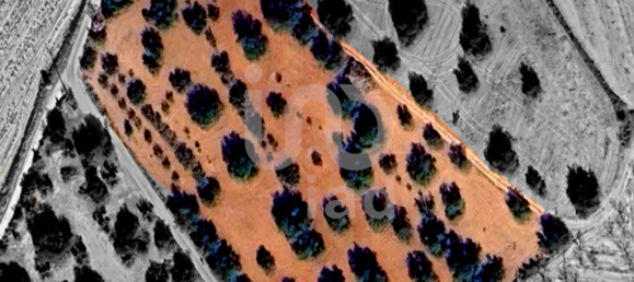 Grundstück in Tarragona, Spain 11201m², Nr. 158677 2