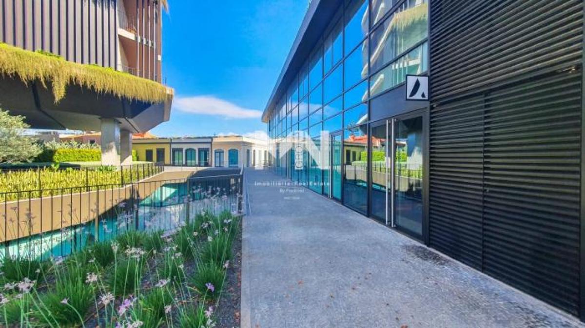 72m² Shop in Funchal, Portugal No. 1906