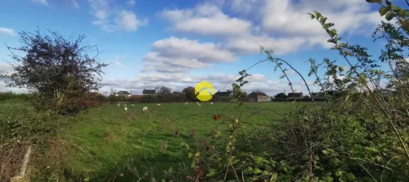  قطعة أرض في Sancoins, France 10385متر مربع رقم 217402 3