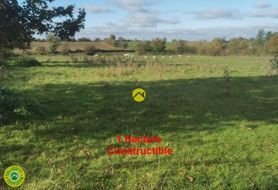  قطعة أرض في Sancoins, France 10385متر مربع رقم 217402