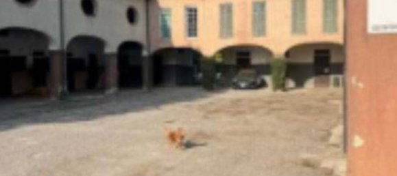 34599m² Warehouse in Sant'Angelo di Piove di Sacco, Italy No. 277131 10