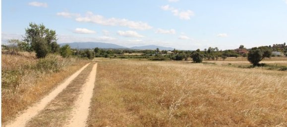 Земельный участок в Одиашере, Португалия № 66116 6