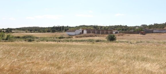 Земельный участок в Одиашере, Португалия № 66116 7