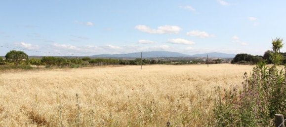 Земельный участок в Одиашере, Португалия № 66116 8