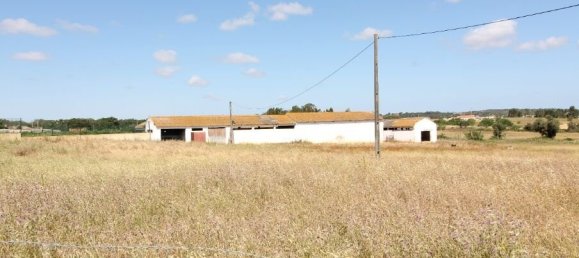 Земельный участок в Одиашере, Португалия № 66116 2