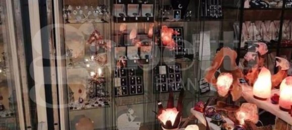 1-Zimmer Gewerbliche Immobilie in Sessa Aurunca, Italy, Nr. 138017 2