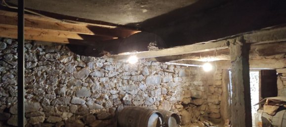 4 Schlafzimmer Haus in Sabugal, Portugal, Nr. 167093 29