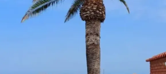 3 Schlafzimmer Stadthaus in Vinaros, Spain, Nr. 141404 16