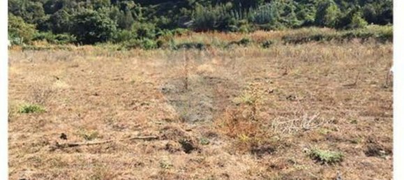 Grundstück in Maule, Chile, Nr. 1065 2