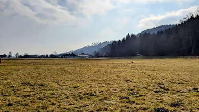 Grundstück in Pfaffstätt, Austria, Nr. 24081