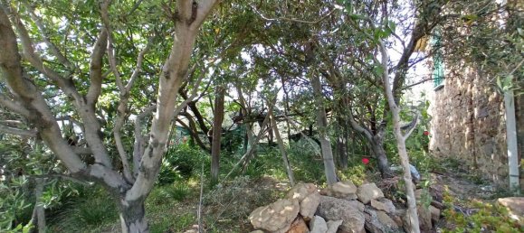 4 rooms House in Castellabate, Italy No. 251681 15