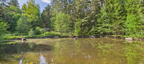  Commercial property in Heidenreichstein, Austria No. 226889 13