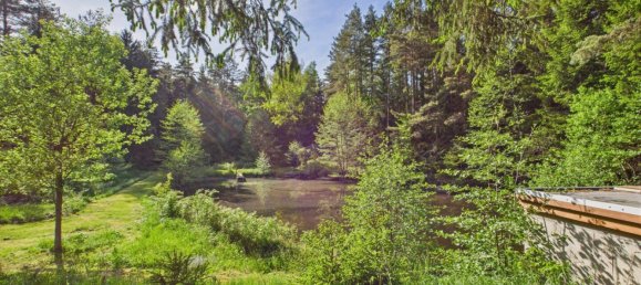  Commercial property in Heidenreichstein, Austria No. 226889 8