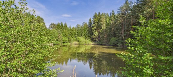  Commercial property in Heidenreichstein, Austria No. 226889 9