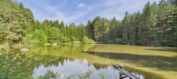  Commercial property in Heidenreichstein, Austria No. 226889 5