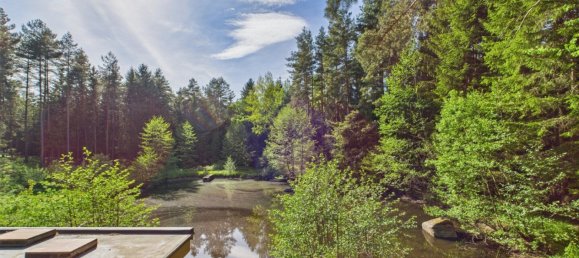  Commercial property in Heidenreichstein, Austria No. 226889 7