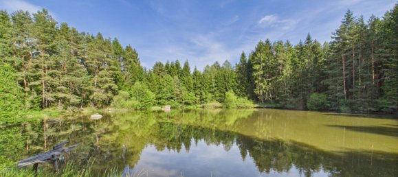  Commercial property in Heidenreichstein, Austria No. 226889 6