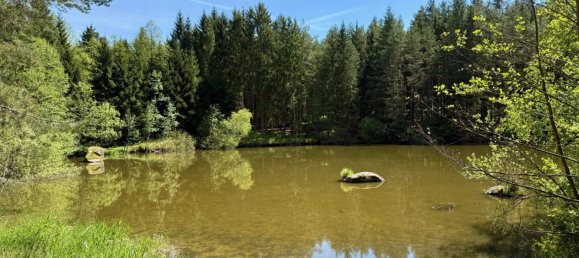  Commercial property in Heidenreichstein, Austria No. 226889 19