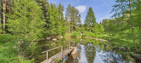  Commercial property in Heidenreichstein, Austria No. 226889 21