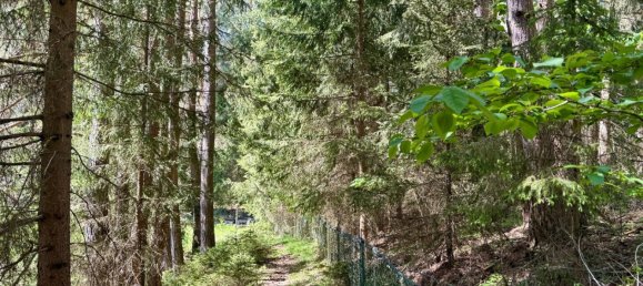  Commercial property in Heidenreichstein, Austria No. 226889 18