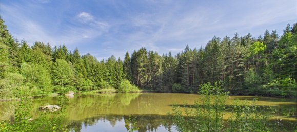  Commercial property in Heidenreichstein, Austria No. 226889 4