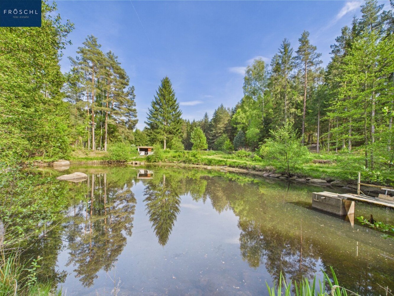  Commercial property in Heidenreichstein, Austria No. 226889