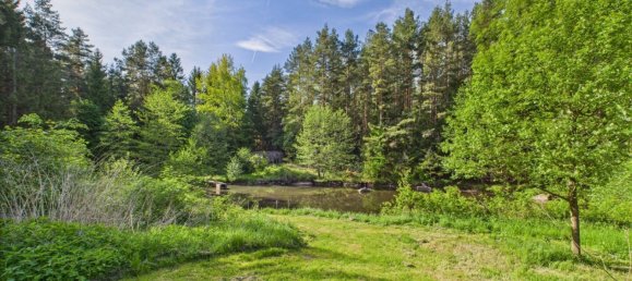  Commercial property in Heidenreichstein, Austria No. 226889 12