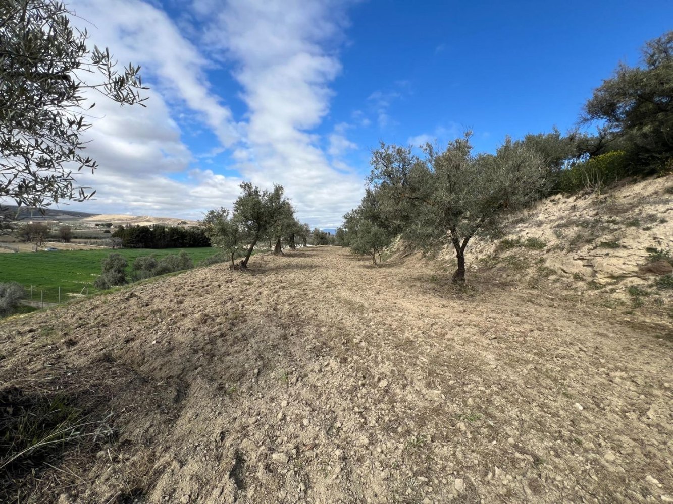 Grundstück in Alhendin, Spain, Nr. 234033